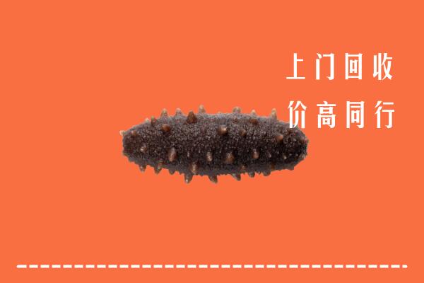 安乡县高价回收海参