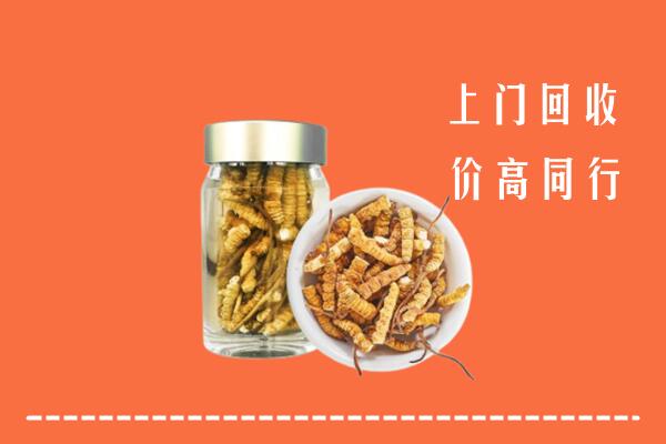 附近收购：安乡县回收冬虫夏草